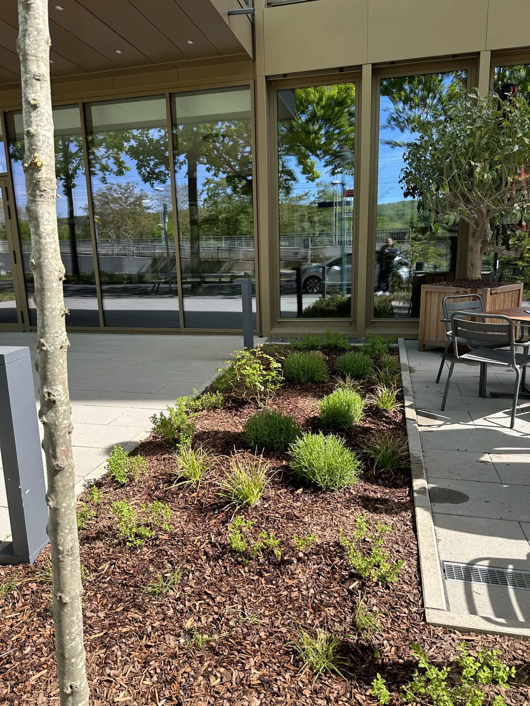 Weitere Ansicht der gepflegten Terrasse und Außenflächen bei L'Osteria Bonn Campus