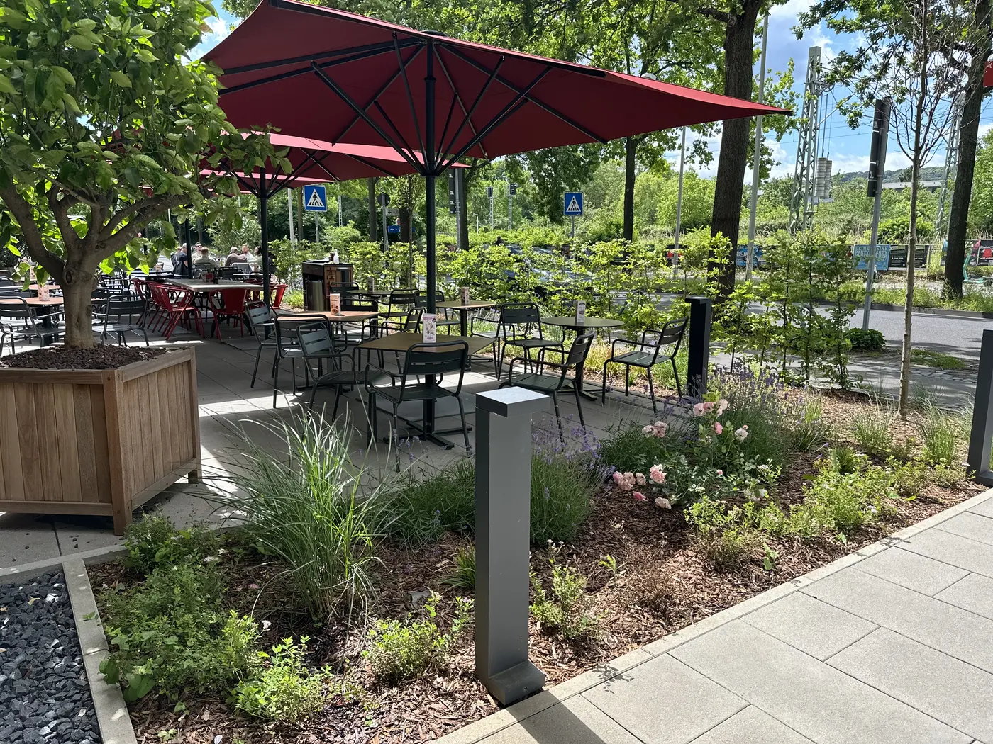 Terrassenbereich bei L'Osteria Bonn Campus mit neu gestaltetem Beet