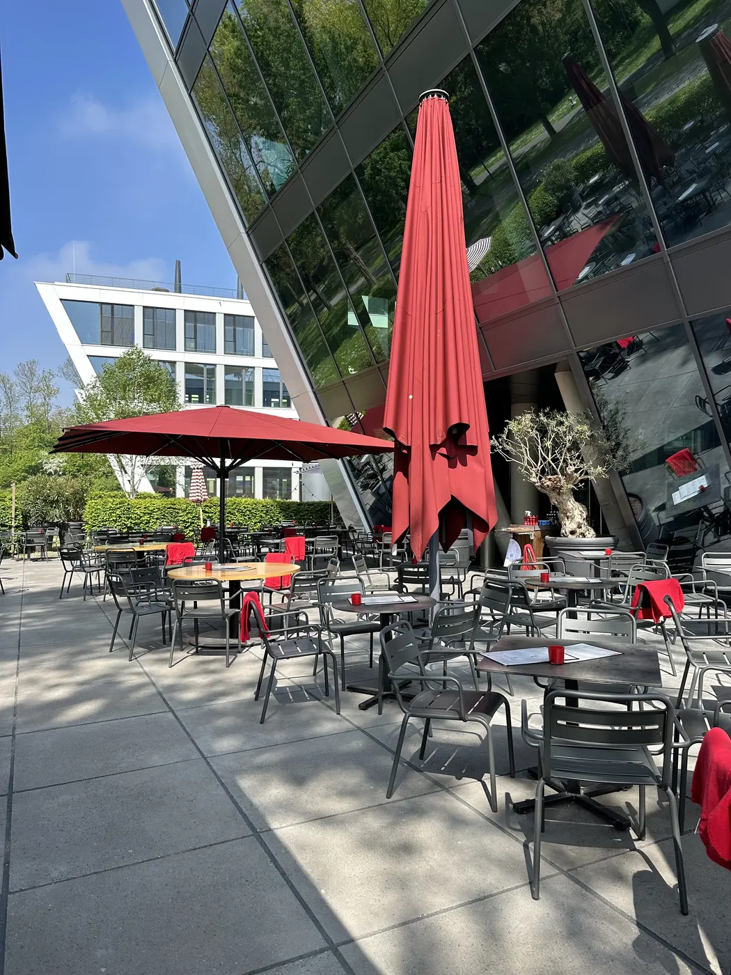 Gepflegte Terrasse mit roten Sonnenschirmen bei L'Osteria Bonn Rheinwerk