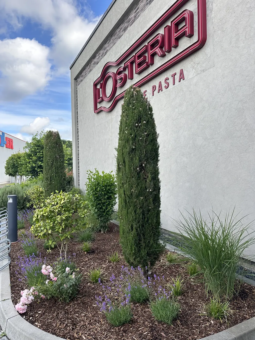 Detailaufnahme der fertig gestalteten Beetfläche bei L'Osteria Dormagen