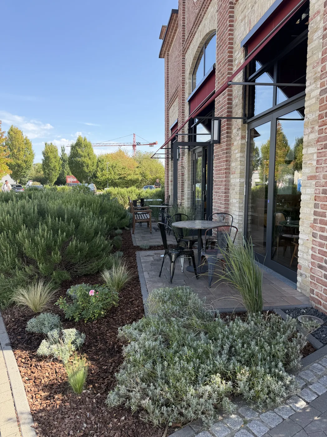 Neu bepflanztes Beet entlang der Backsteinfassade von L’Osteria Düsseldorf