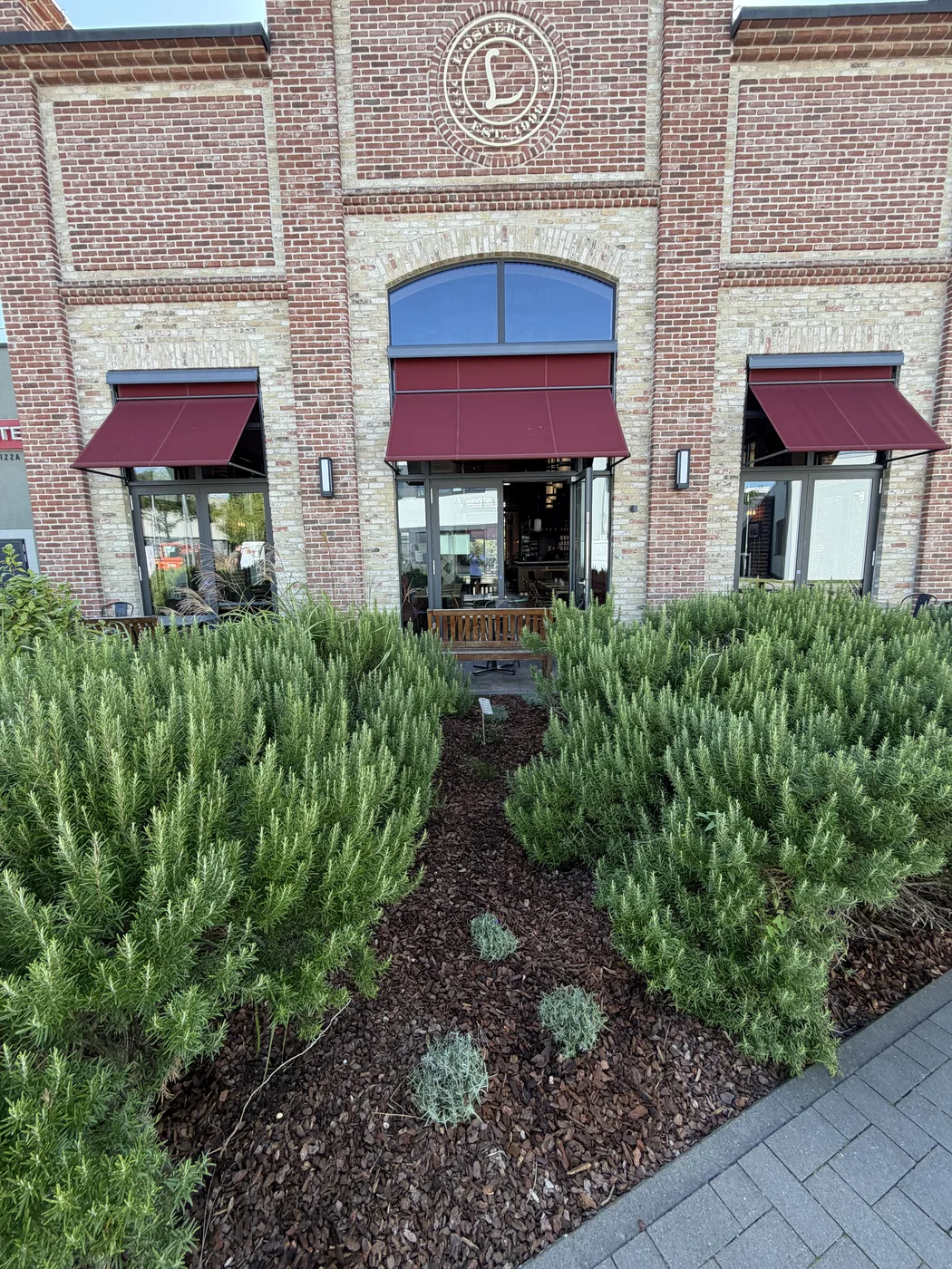 Bepflanzung vor den Fenstern der Backsteinfassade von L’Osteria Düsseldorf