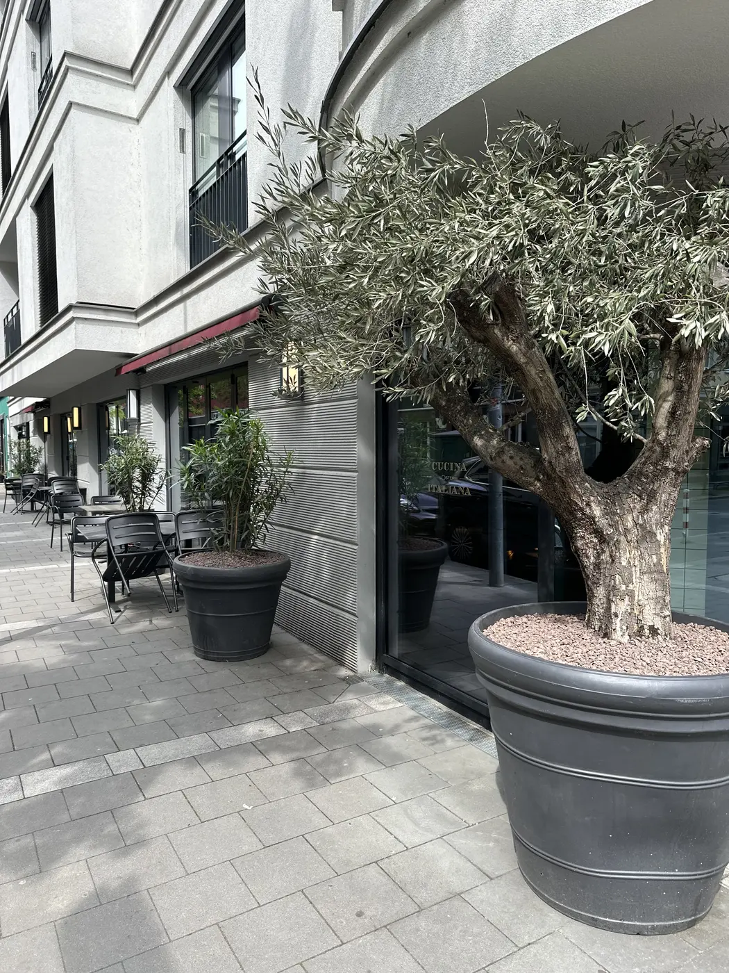 Detailansicht der Bepflanzung und Lava-Mulch bei L'Osteria Düsseldorf