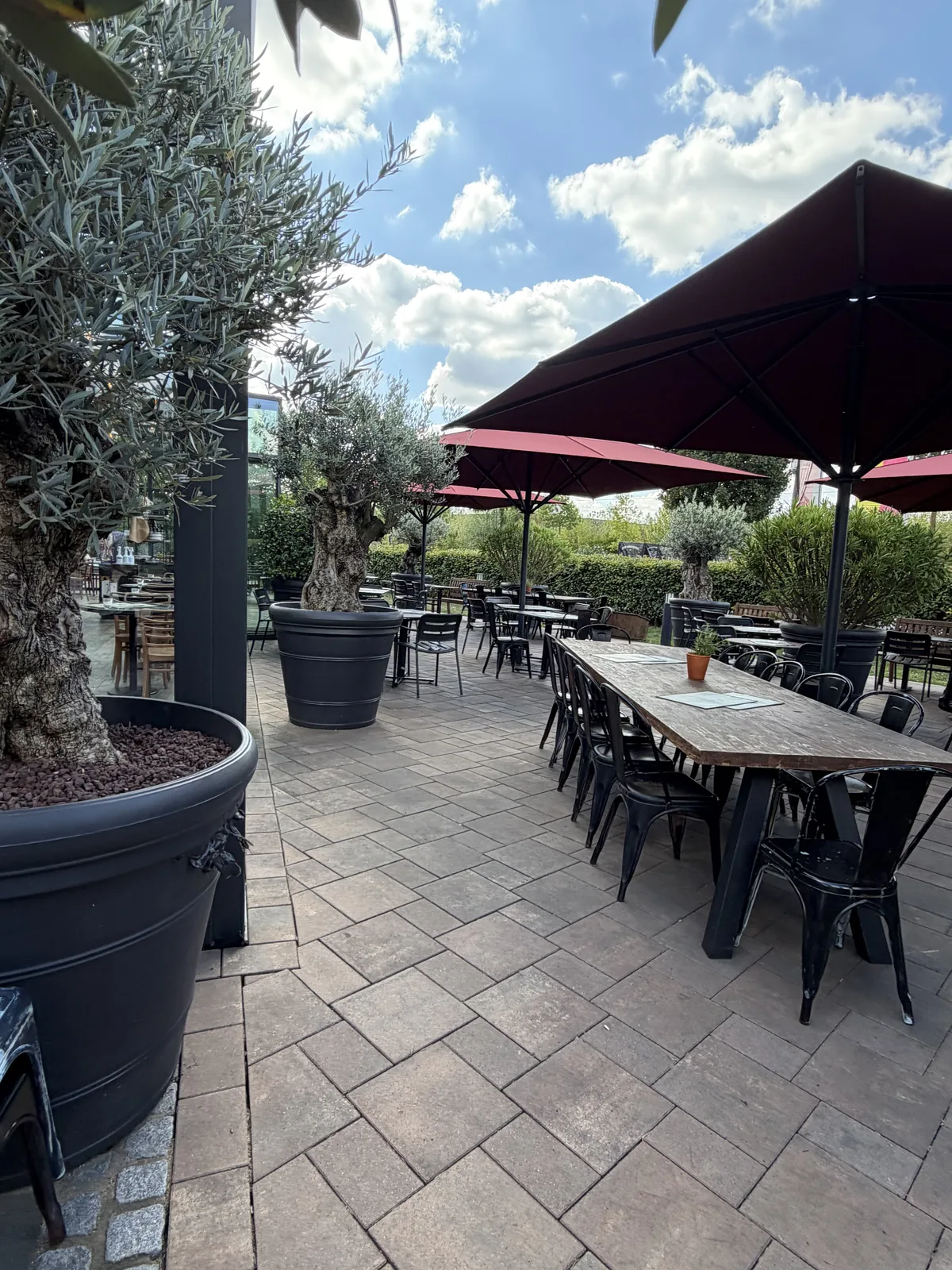 Gepflegte Terrasse mit Olivenbäumen und roten Sonnenschirmen bei L’Osteria Düsseldorf