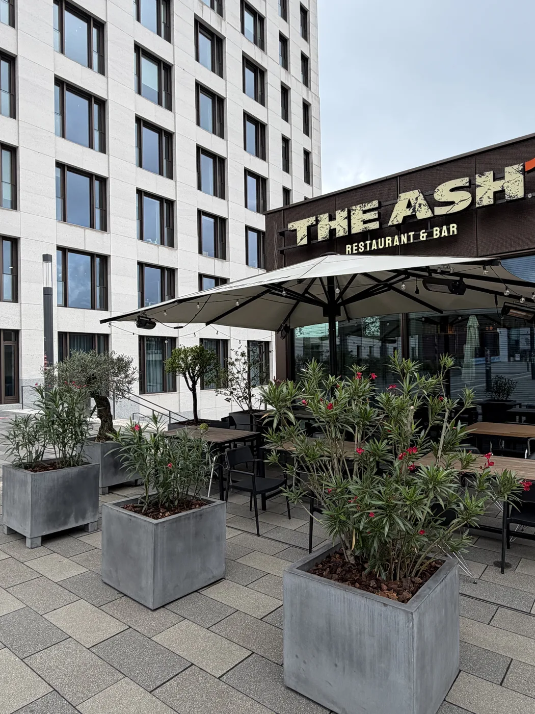 Gepflegte Pflanzkübel mit Oleander und Olivenbäumen auf der Terrasse von THE ASH Köln