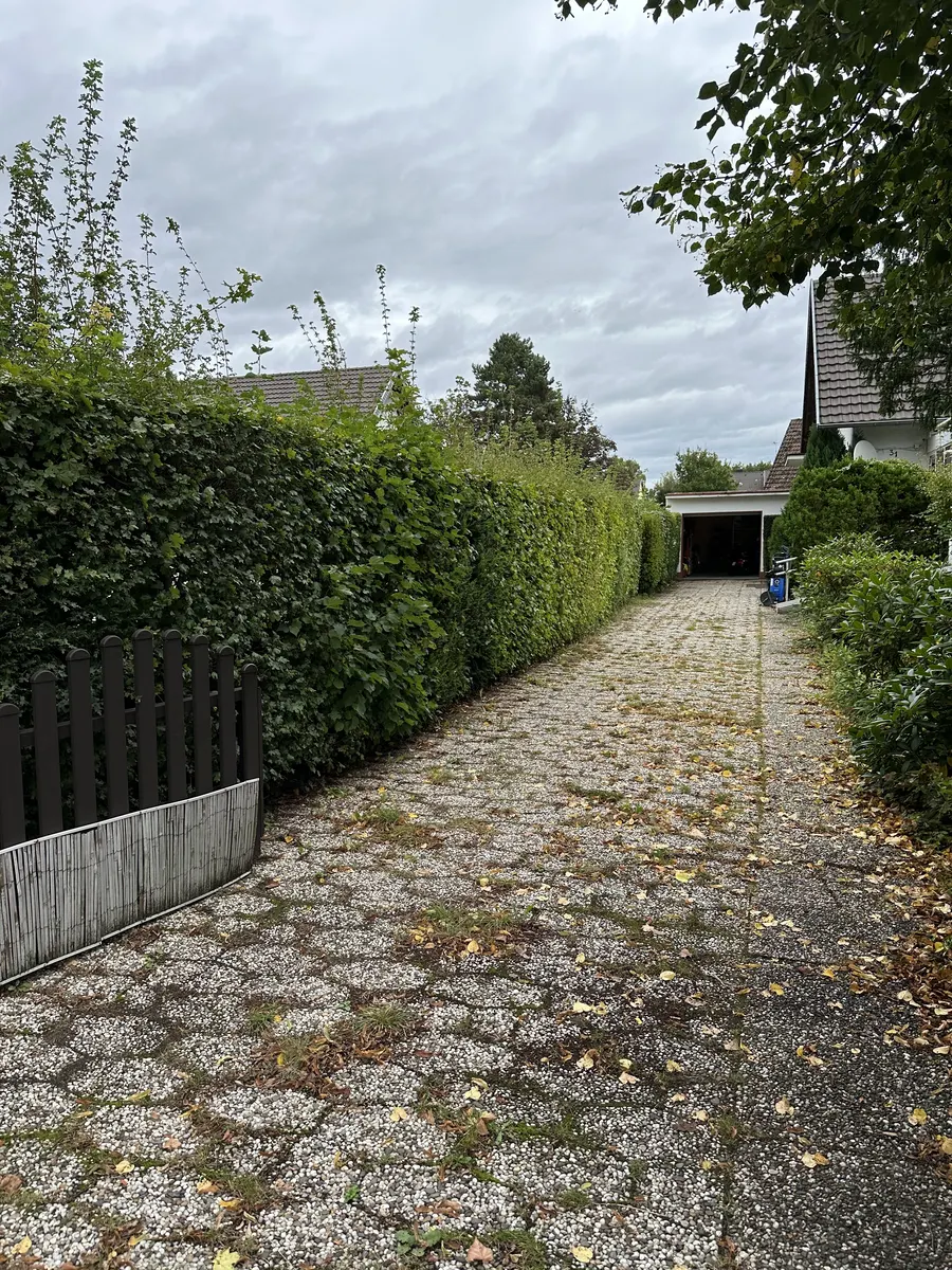 Einfahrt gereinigt vor der Reinigung